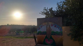 קראוון כליל הטבע